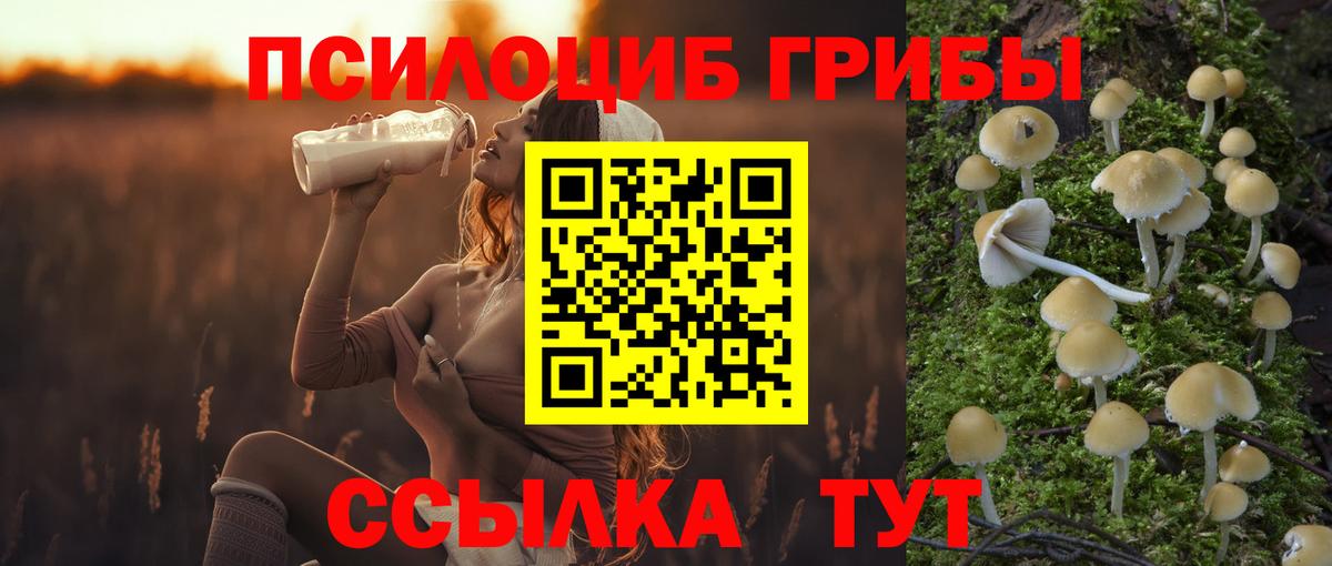 Фролово  Галлюциногенные грибы мицелий  Вход с VPN  Галлюциногенные грибы MAGIC MUSHROOMS 